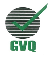 GVQ India